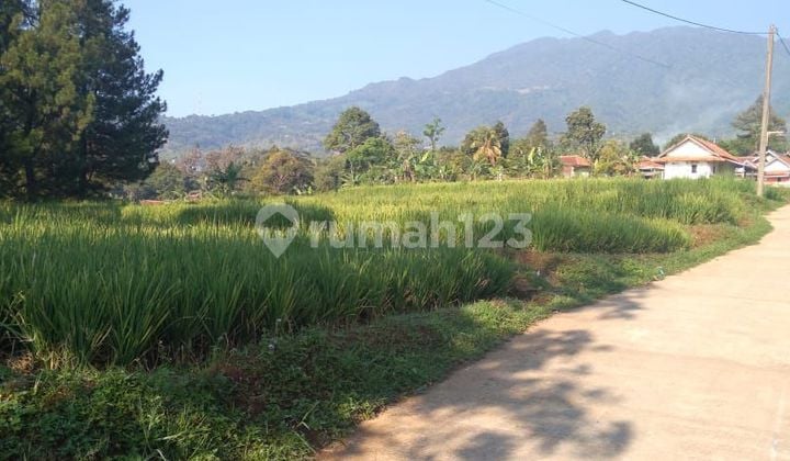 For Sale: Land Suitable for Villa with Mount Salak View
Property Details:
Building Area: -
Land Area: 2,000
Bedrooms: -
Bathrooms: -
Certificate: SHM
Description: -
Price: 2 million/m²
Land Suitable for Villa with Mount Salak View