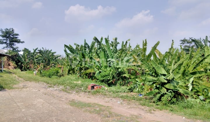 Tanah di Cibubur Yg Luas Bisa Untuk Cluster Perumahan Dekat Lrt,toll Cibubur,trans Jkt Harga Nego Sampai Deal