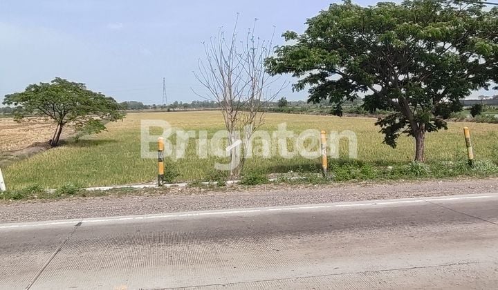 Tanahh O Jln Raya,gresik