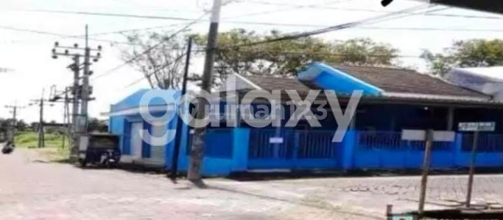 Rumah Palem Pertiwi Regency Gresik 1 Lantai Rumah Palem Pertiwi Regency Gresik 1 Lantai