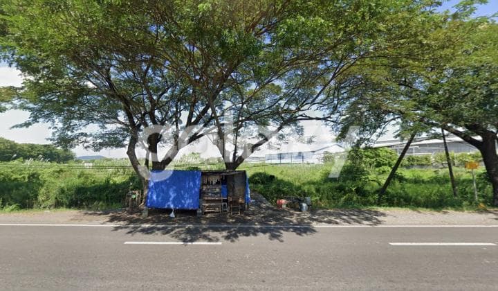 Tanah Raya Beji Cangkringmalang Pasuruan 1,65 Juta Permeter Lokasi Strategis Banyak Pabrik Besar Seperti Indofood