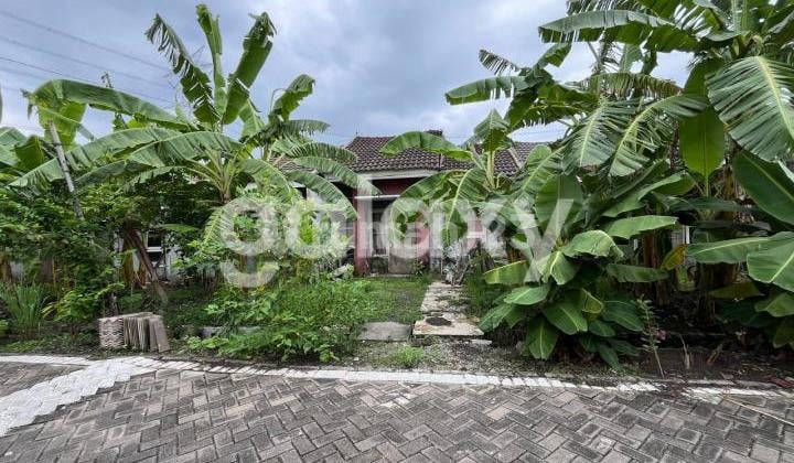 Rumah Hitung Tanah Perumahan Anggun Sejahtera Rembang Pasuruan 6 Unit