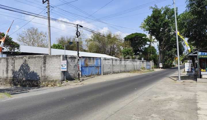 Gudang Luas 1817 Meter Persegi Lokasi Strategis Daerah Sentolo Kulonprogo