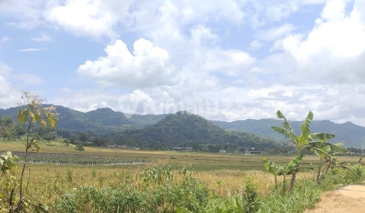 Dijual Tanah Luas 1639 Meter Persegi View Alam di Nanggulan Kulon Progo