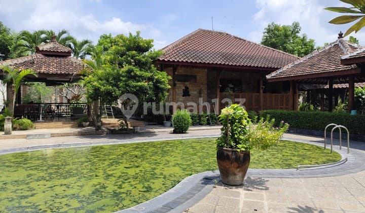 Homestay Asri Didekat Kampus Isi Jogja Sewon Bantul