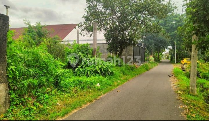Large Land 812 Near Palagan Village Attractive Location