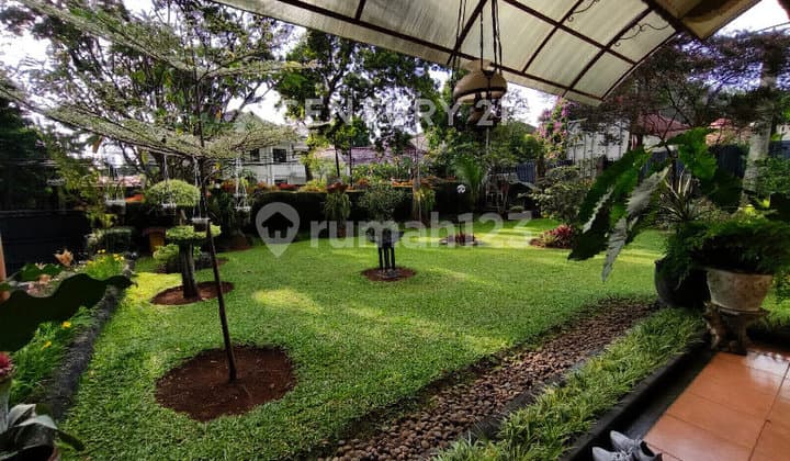 Rumah Asri 1 Lantai di Sukajadi Kota Bandung