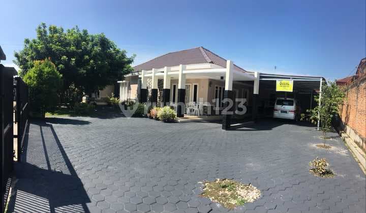 Rumah Minimalis Modern Halaman Luas Di Tengah Kota