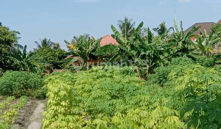 Tanah Tepi Jalan Kawasan Harapan Raya