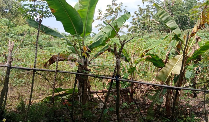 Dijual Tanah Lokasi Strategis Deket SMU Plus Kubang