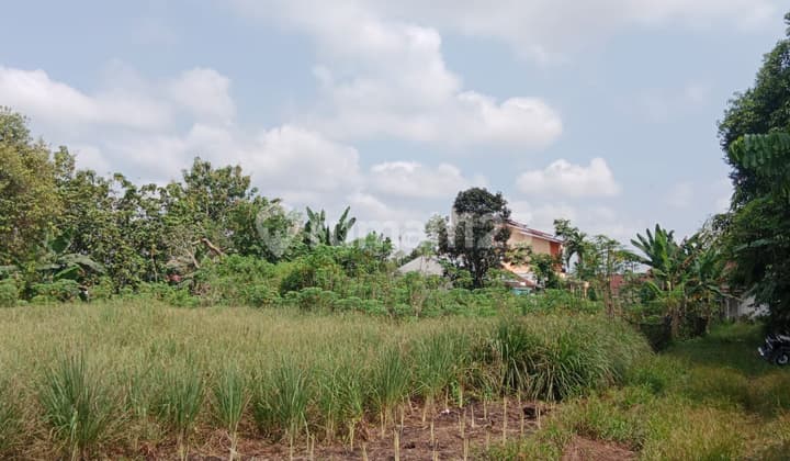 Cheap Land Near Sma Plus