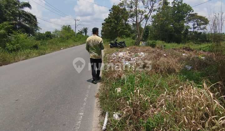 Tanah Murah Pinggir Jalan Labersa