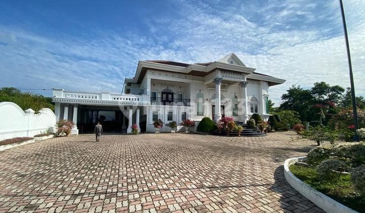 Rumah Asri Mewah Halam Luas Dekat Pertamina Rumbai Fasilitas Kolam Renang