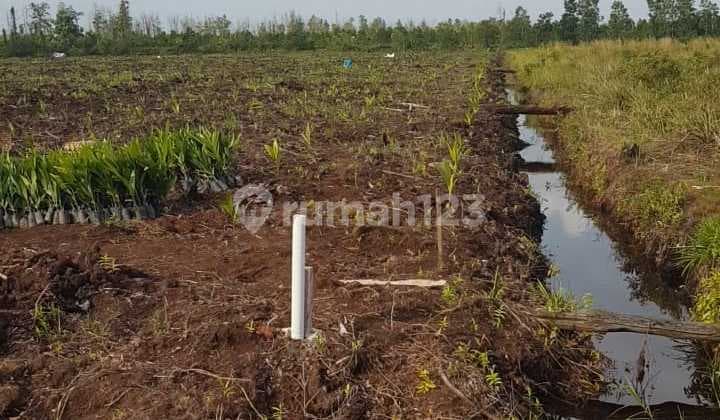 Dijual Tanah Dekat Rimbo Panjang