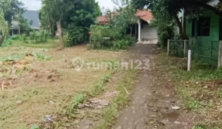 Quick Sale of Large Land Suitable for Creating a Housing Cluster