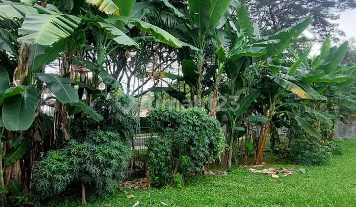 Dijual Kavling Siap Bangun Alam Sutera Tangerang Jl Sutera Utama