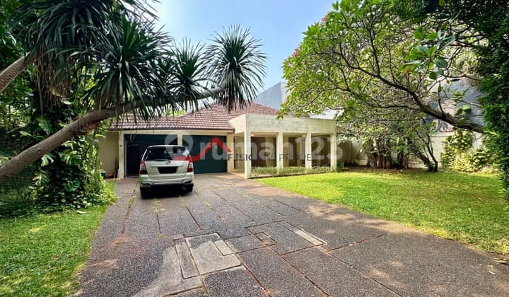Rumah Satu Lantai Halaman Luas dan Asri Area Prime Kemang, Jakarta Selatan