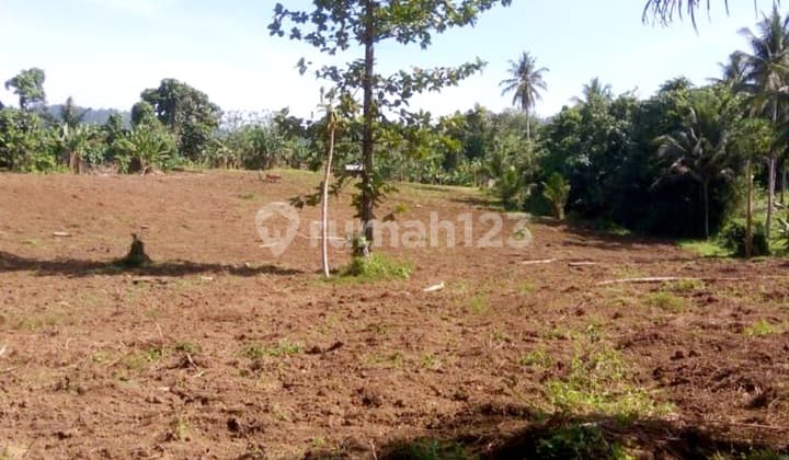 Tanah Murah Sekali Seluas 23Ha 75Rb/Mtr di Wusa Talawaan Minahasa Utara