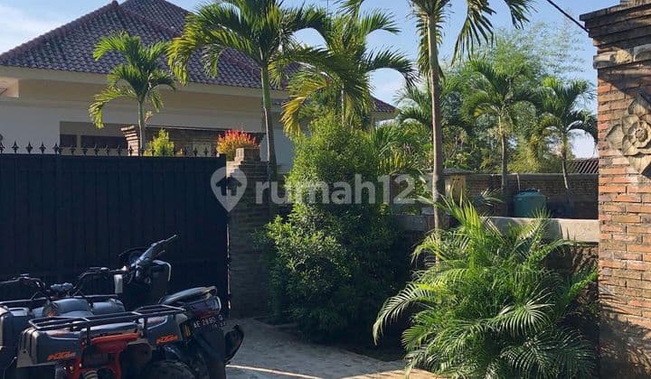 Dijual Cepat Rumah Mewah Lokasi Dekat 3 Wisata Alam di Kota Ngawi Jawa Timur