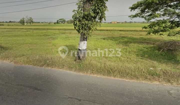 Tanah Strategis Pinggir Jalan Raya Manang Baki Dekat Solo Baru