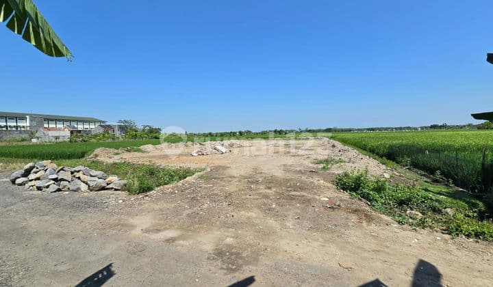 Tanah Murah Strategis Di Bulakrejo Sukoharjo Dekat Solo Baru Solo