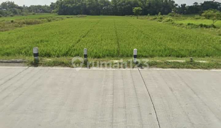 Tanah Super Strategis Dekat Pintu Tol Sragen, Cocok untuk Gudang dan Industri Ringan