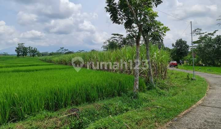 Dijual Tanah Luas dengan Pemandangan Indah dan Udara Bersih, di Bangsri Karangpandan