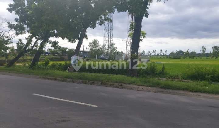 Tanah Sangat Strategis di Pinggir Jalan Bekonang Mojolaban Arah ke Palur, Cocok untuk Dibangun Ruko atau Area Bisnis