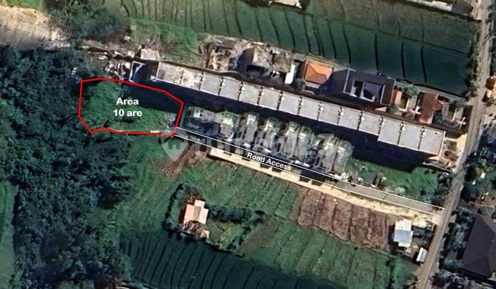 Prime Location! Land For Lease In Cemagi | Pg 123