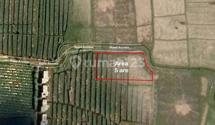 Land For Lease In Cemagi - Premium Location With Beautiful Rice Field View | Pg 124