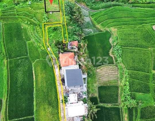 Dijual Tanah Premium View Sawah Dekat Ubud, Bali | Rg 208