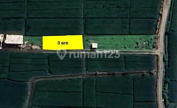 For Sale Freehold Land - Seseh, Bali | Page 127