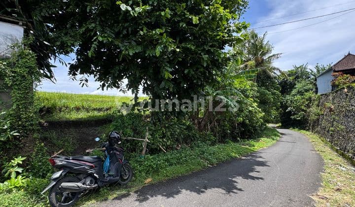 Land For Lease - Buwit (Rice Field View) | Rg 210