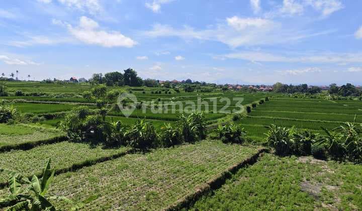 Dijual Tanah Plot Kecil di Ketewel, Sukawati - Bali | RG 163