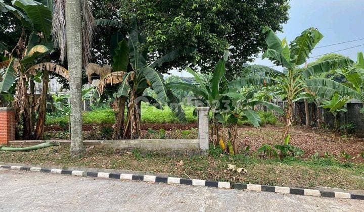 President's Neighbor, Puri Cikeas, Vacant Land, Certificate of Ownership, 1230 M2
