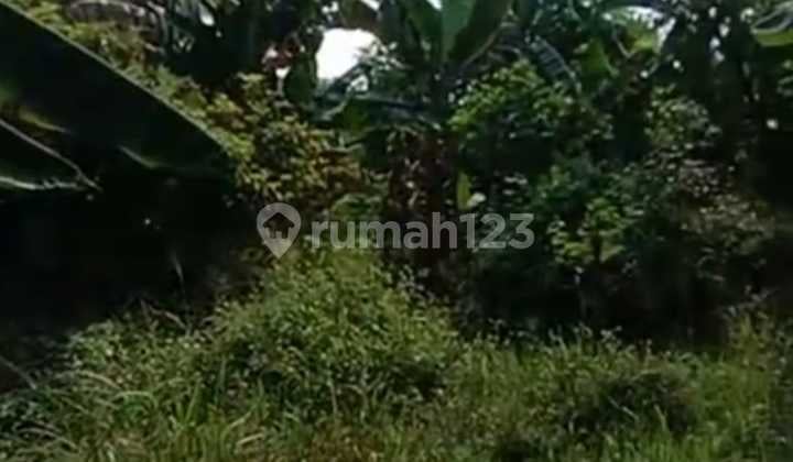 Tanah Limo Cinere Shm 1 Ha