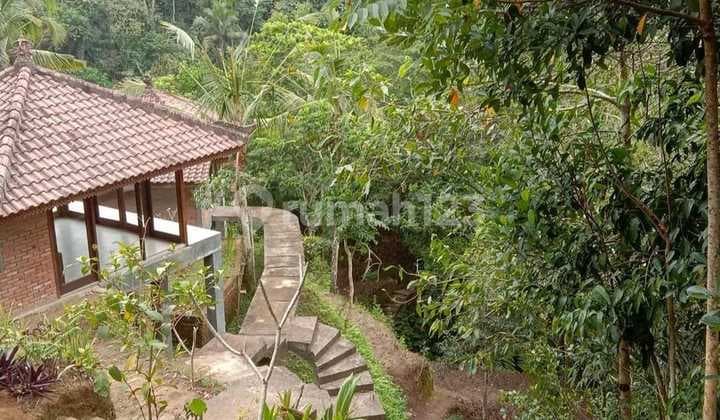 Stunning Ubud Property with Breathtaking Valley Views - Ready for Your Personal Touch