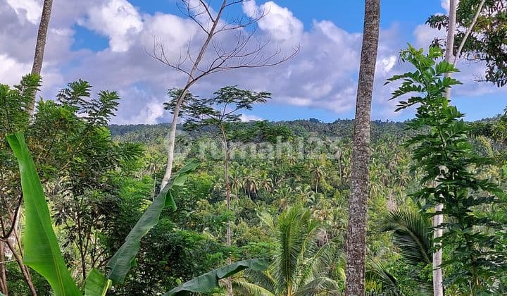 5.850 Sqm of Freehold Land with Beautiful Mountain View Located in Tabanan