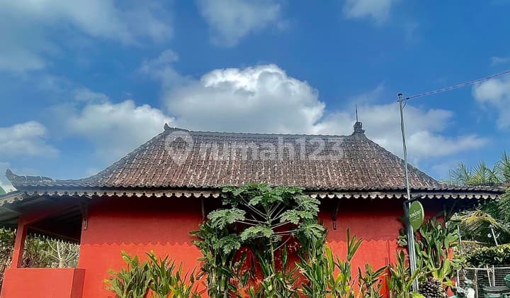 Cozy Fully Furnished Home for Yearly in Ubud - Perfect Location!