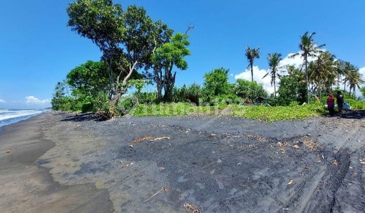 2,000 Sqm of Freehold Land for Sale with Views of Stunning Beach Located in Negara