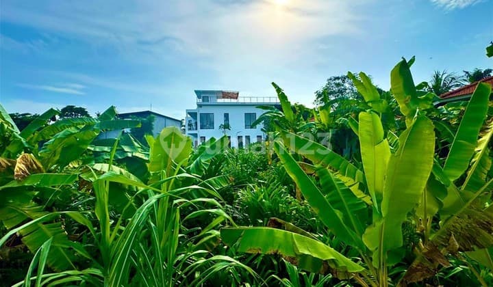 For Sale Leasehold - Brand New Hidden Cozy Villa Close To Pererenan , Bali
