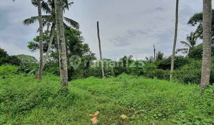 Freehold - Rare Oppotunity Exclusive Land With Rice Field Views And Riverside In Green Lot, Cemagi, Bali