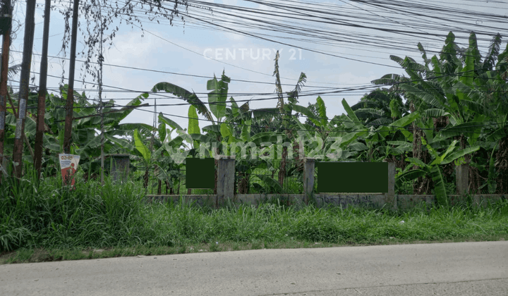 TANAH DI JALAN LETDA NASIR NAGRAK GUNUNG PUTRI BOGOR