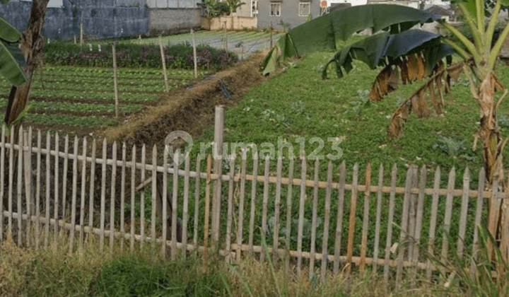 Tanah Kavling Sayap Kol. Masturi