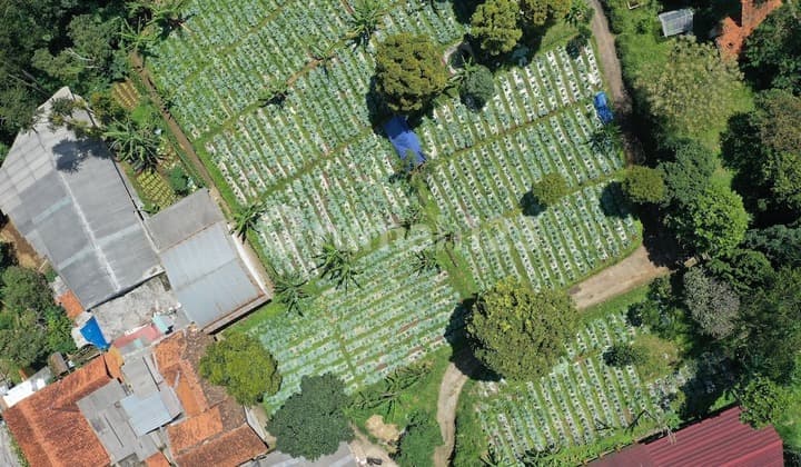 Mekarwangi Plot, West Bandung Regency