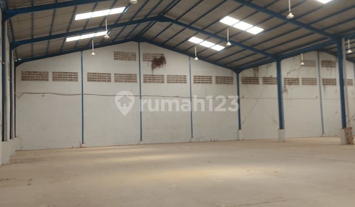 Gudnag di Sewa Ukuruan Besar Murah Banget Siapa Cepat Dia Dapat