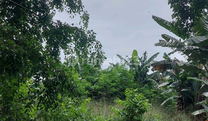 Tanah Murah Banget Lokasi Strategis Pingir Jalan Raya Utama.