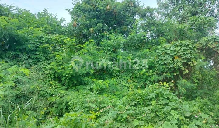 Tanah di Jual untuk Pabrik/Gudang Container 40 Feet Masuk.