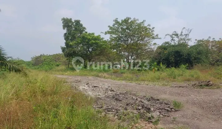 Land Plot for Rent Very Cheap, Suitable for Industrial Use.