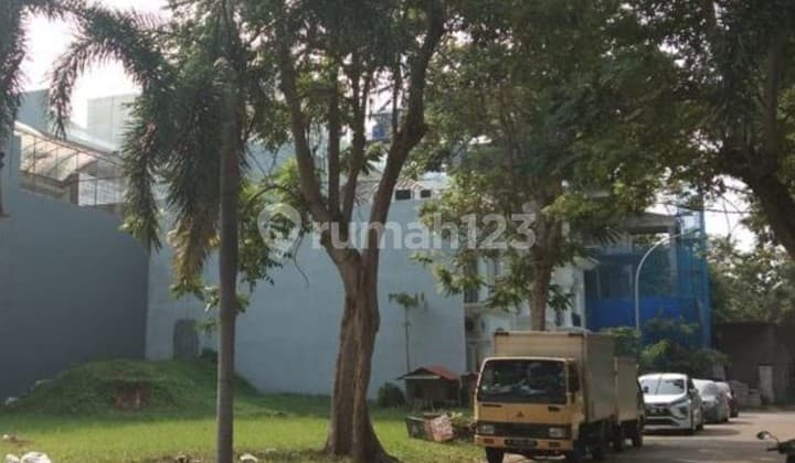 Kavling Pik Area Kuda Laut Mediterania Langka